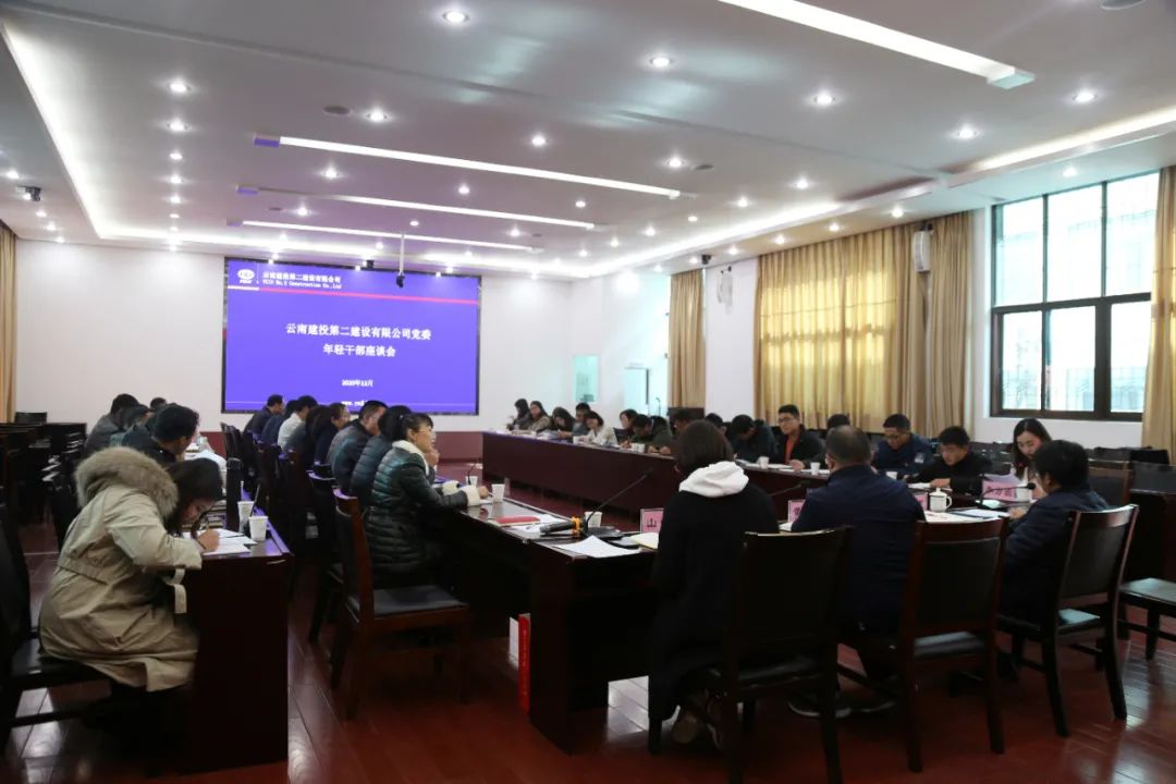 【公司要聞】只有創(chuàng)造價(jià)值，青春才是資本——公司黨委召開年輕干部座談會(huì)