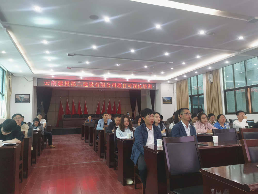 【公司動態(tài)】公司舉辦項目可視化培訓